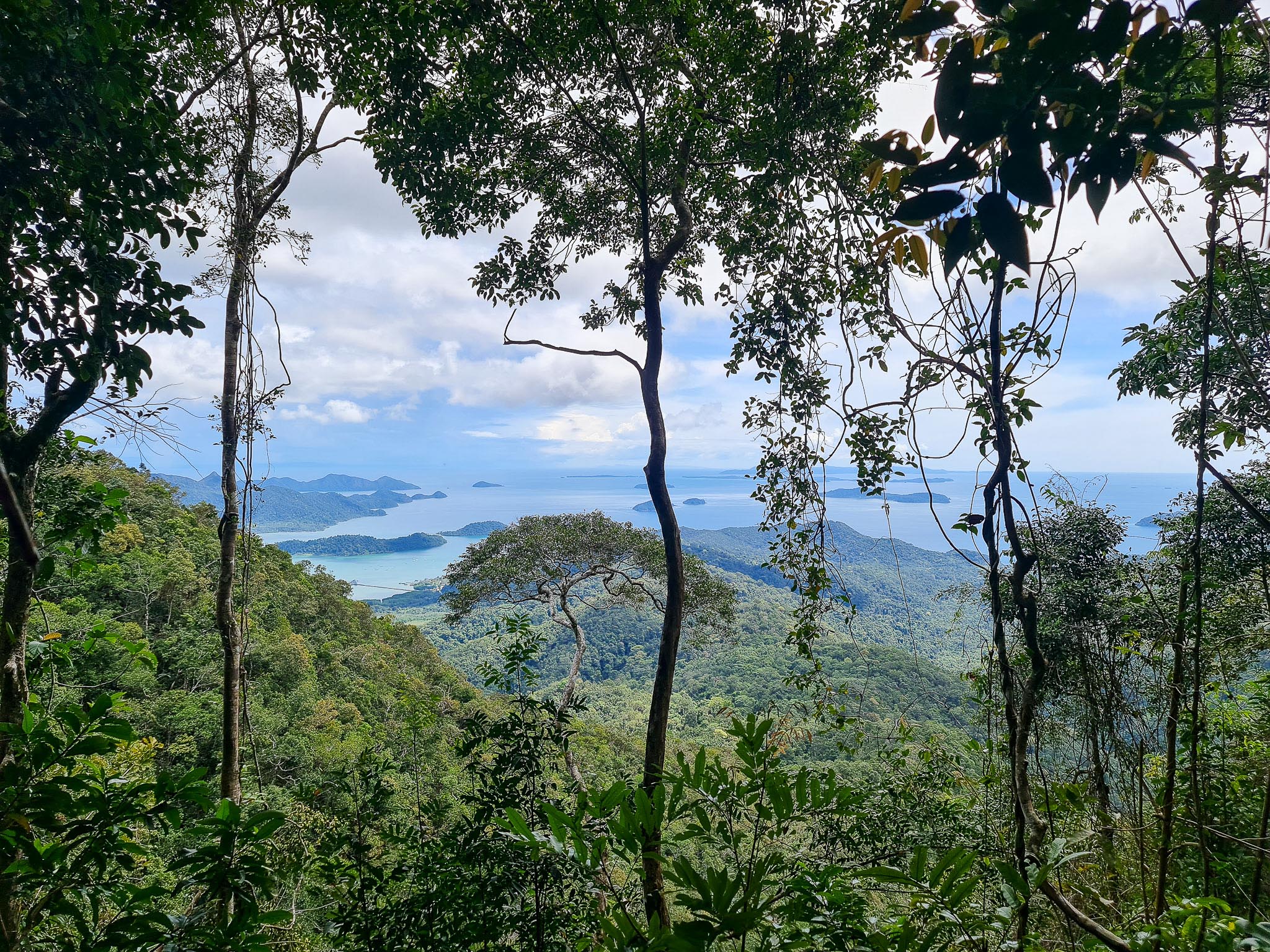 Wandern auf Koh Chang Besteigung des Khao Laem Mountain BAMBOO